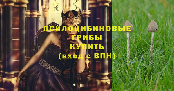 мяу мяу мука Верхнеуральск