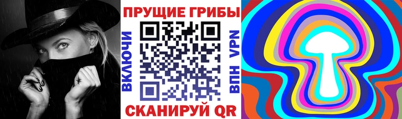 blacksprut зеркало  Медногорск  Галлюциногенные грибы ЛСД  магазин продажи  
